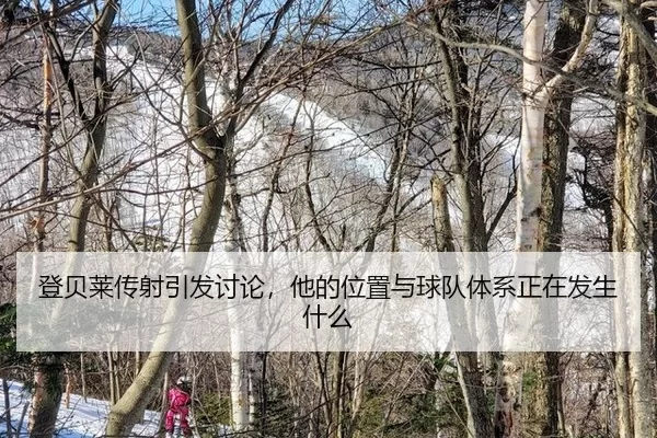 deng-bei-lai-chuan-she-yin-fa-tao-lun-ta-de-wei-zhi-yu-qiu-dui-ti-xi-zheng-zai-fa-sheng-shen-me-2-453.jpg