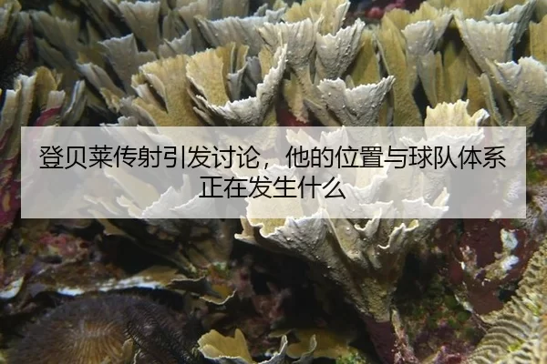 登贝莱传射引发讨论，他的位置与球队体系正在发生什么